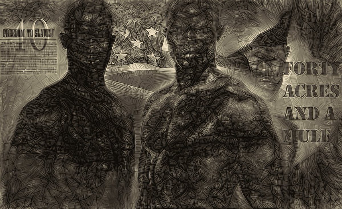 Forty  Acres and a Mule