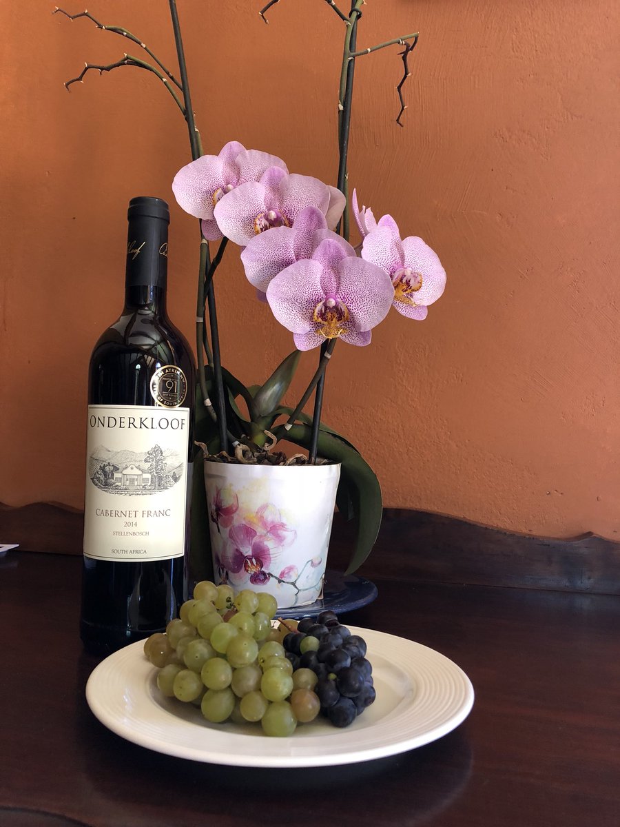 sharese_m's tweet photo. Let there be wine!🍷🍇🍃🌸 @onderkloofwineestate #onderklooffan 
#onderkloofwines #onderkloofwine #discoversawine #visithelderberg #somersetwest #wine #winetasting #winelover #wines #winestagram #winephotography #capetown #capetownwine #capetownwinelands #socialmediamarketing https://t.co/d0QKUmlKF5