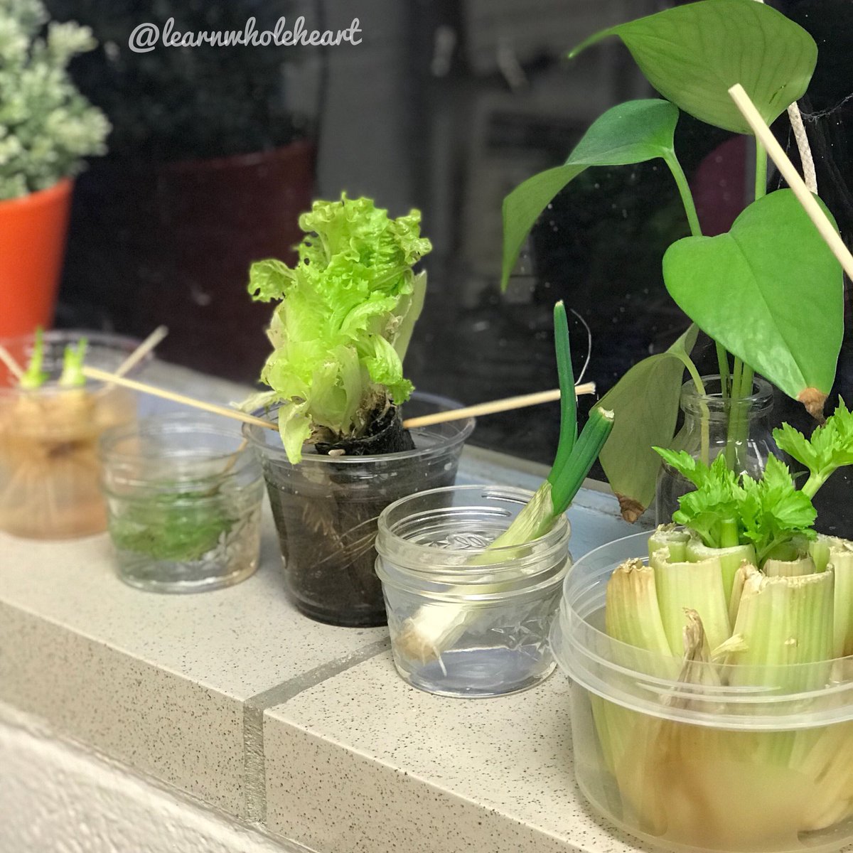 Bonita Bradway tweet media