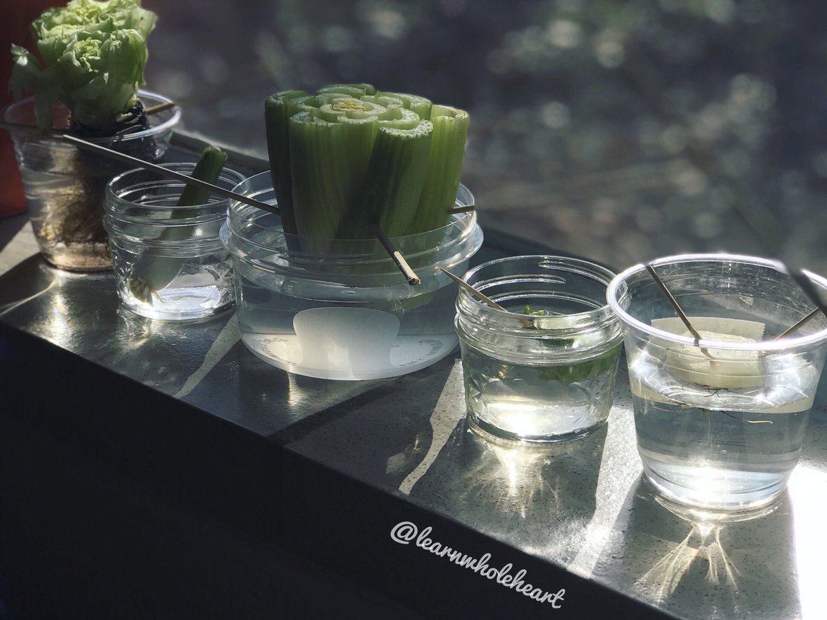 Bonita Bradway tweet media