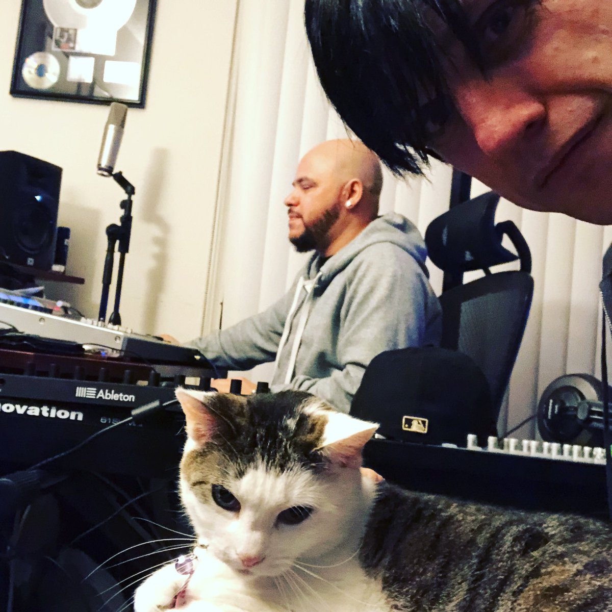 TheOddysy's tweet photo. .@JohnnyJuice @TheRoyalKJ and Lilo workin that new rekkid. #TheOddysy #weoutworkyou #catsmakingmusic https://t.co/p21aV9DfET