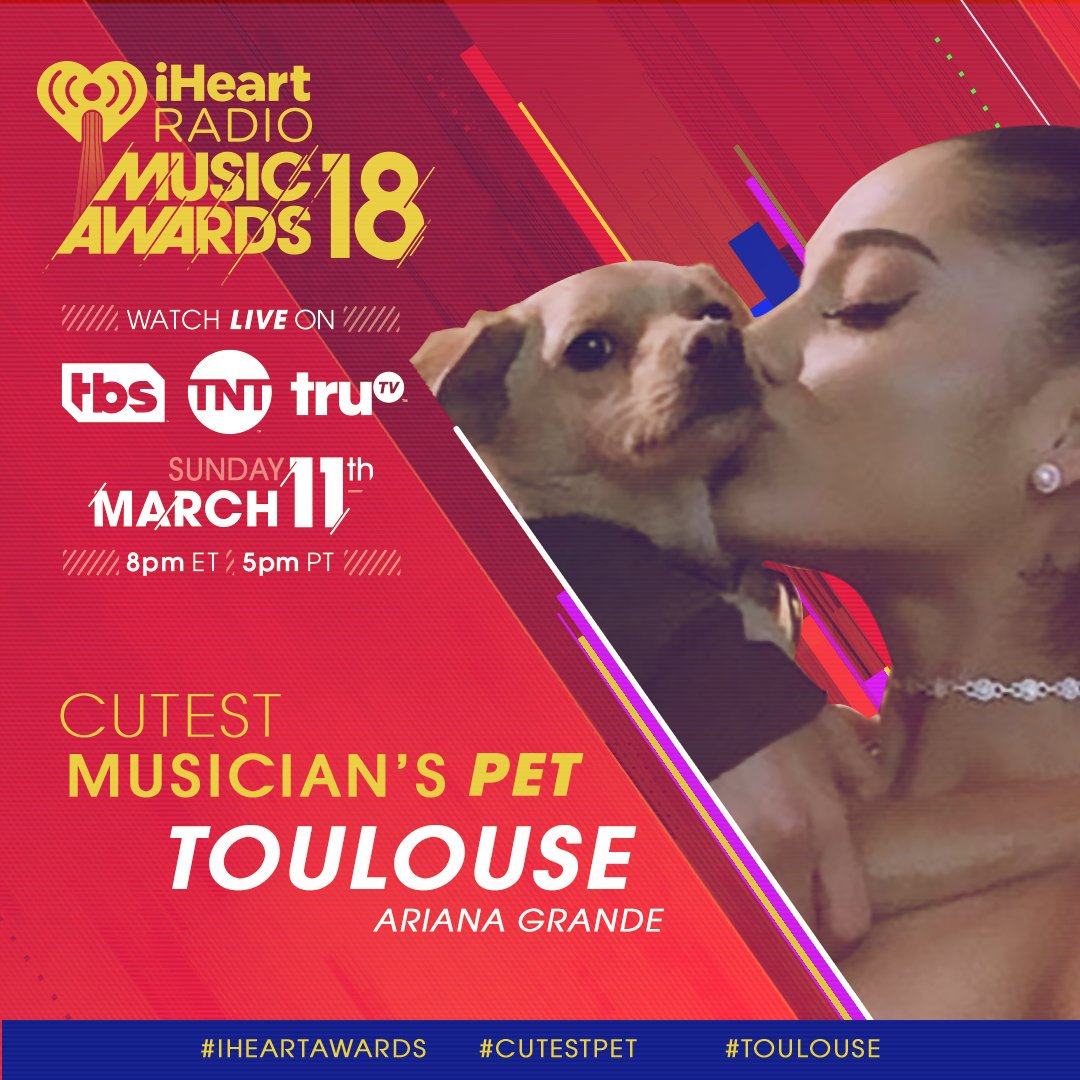 Bkstg's tweet photo. Arianators, @arianagrande needs your help! RT to vote for #Toulouse for #CutestPet at the #iHeartAwards https://t.co/n5uJb2BSvT