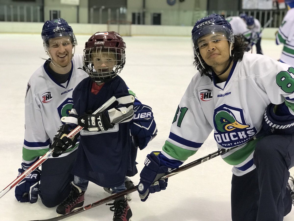 Point Mallard Ducks tweet media