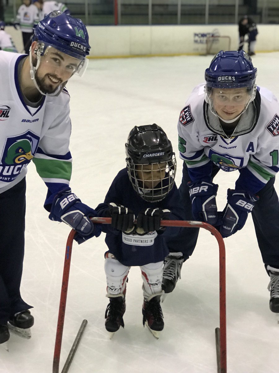 Point Mallard Ducks tweet media