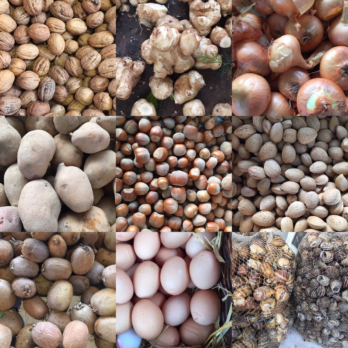 drvgallo's tweet photo. Exciting visit to #portapalazzo #market in Turin. #brown #healthyfood #rowfood #LoveFood https://t.co/l5Bpak3Kci
