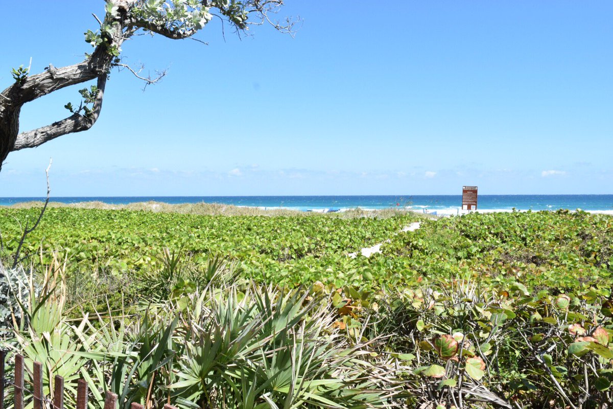 LifeTraveled's tweet photo. It’s always a great day to be at the beach. #DelrayBeach #Florida #GetAwayNow https://t.co/tcQdeePXTa