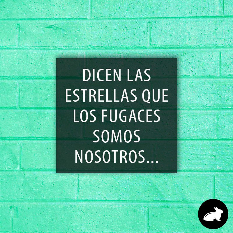 Pravia Magazine tweet media