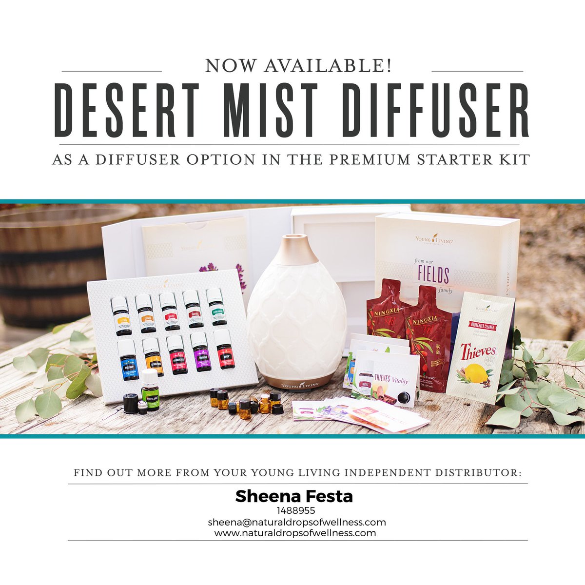 NaturalDOW's tweet photo. OH MY!! New kit!! Diffuser that runs 10 hours &amp; 11 oils plus plant based cleaner!! Order in link and we will send a gift! https://t.co/2gcYZAi0fg