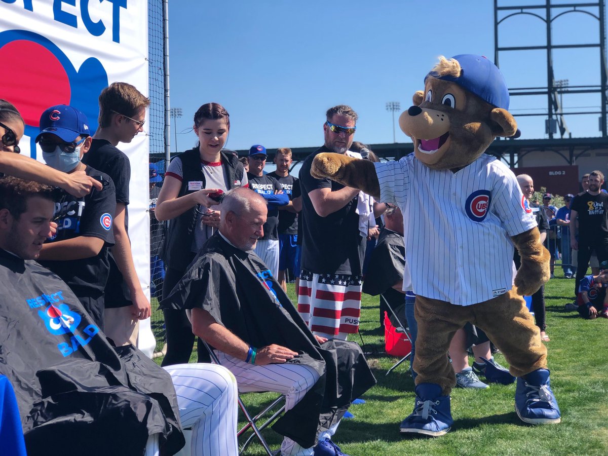 Cubs tweet picture