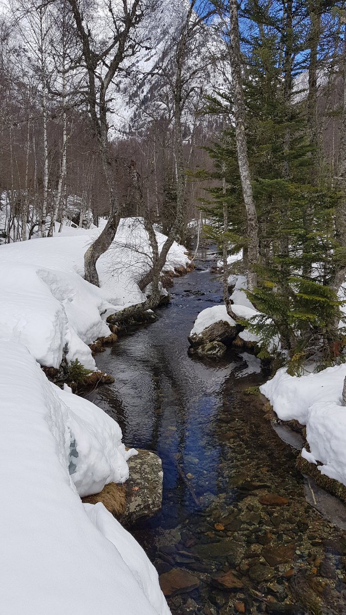 marcdelparc's tweet photo. Quan l'aigua s'obre camí entre l'abundant neu, captivador!
#Boavi #PNAltPirineu #ADNLleidaNeu https://t.co/u3GUmKQ5Fh