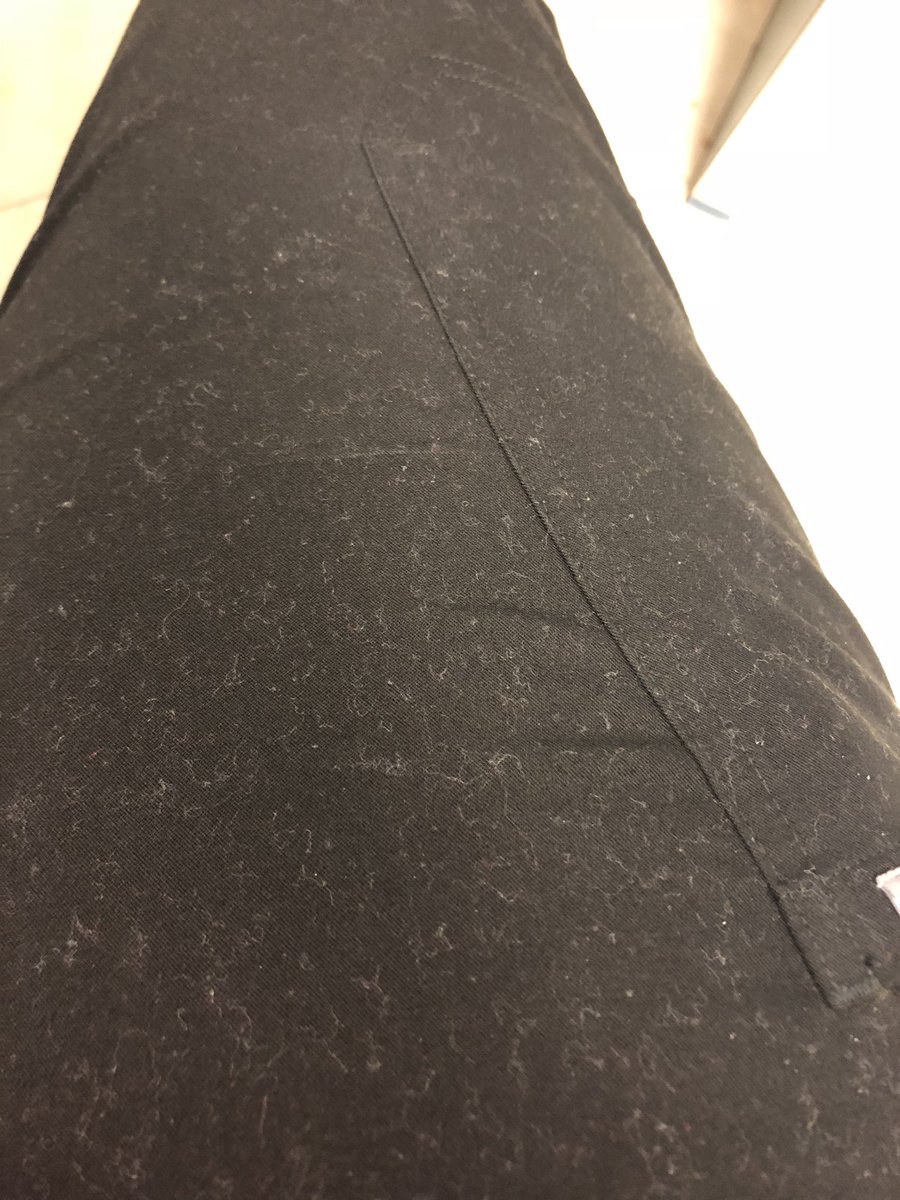 Do Fig Scrubs Shrink? Food And Life Lover