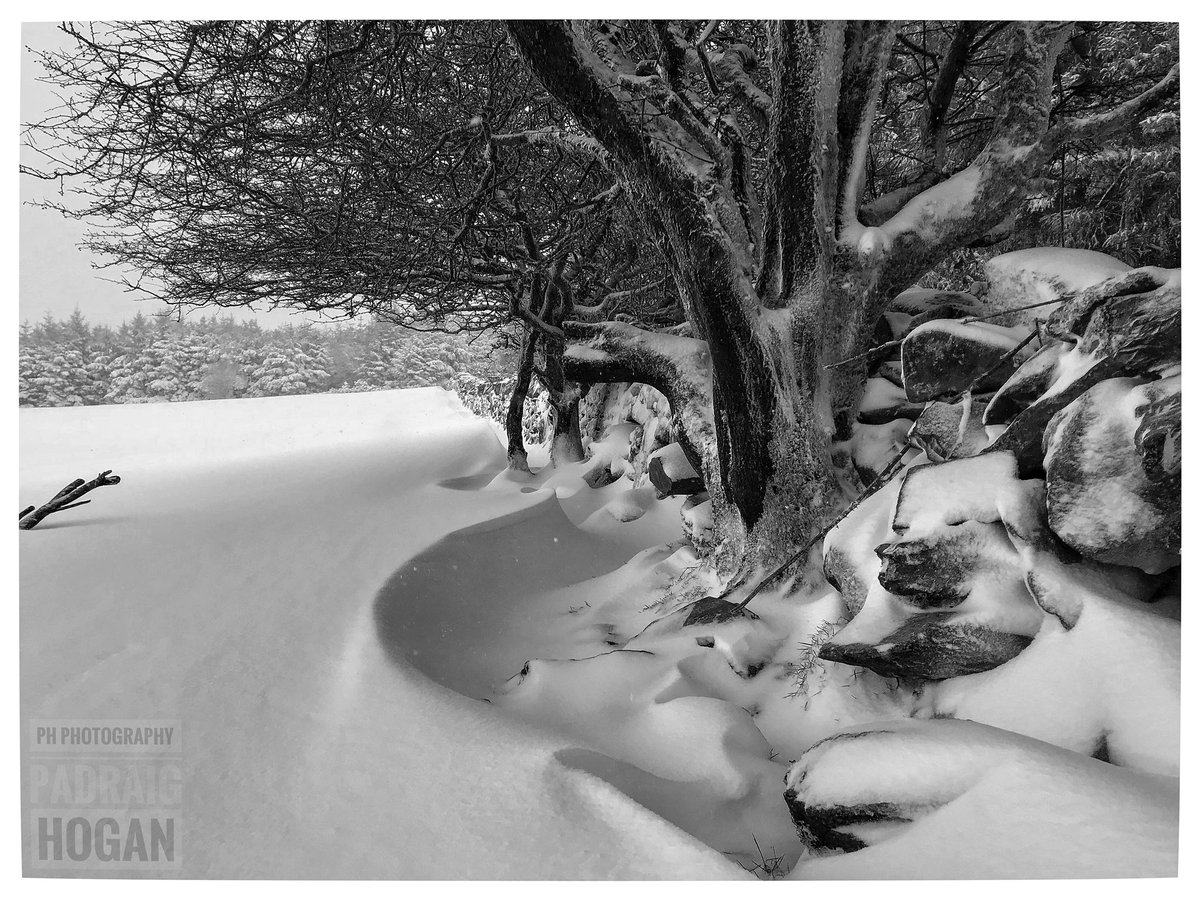 padraighogan's tweet photo. Said I try a black and white version of a previous post - Drifting snow high up in #Carrigatogher #arramountains #tipperary #ireland #snow #snowdrift #stonewall #whitethorne #iphoneography #iphone7plus @NenaghGuardian @TippFM https://t.co/Vwc1y7VzQp