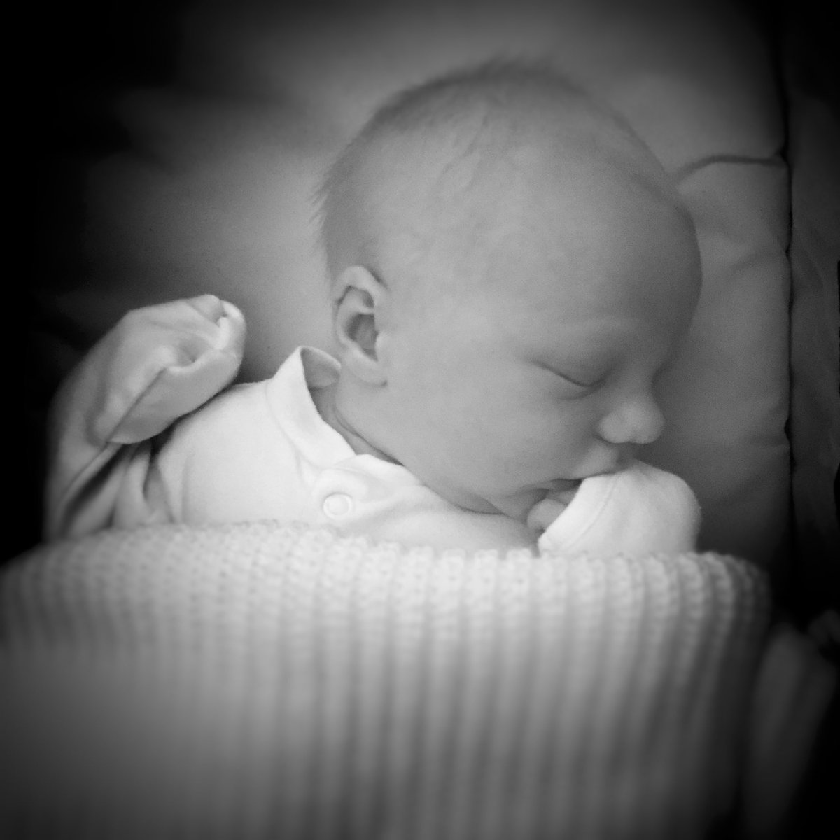 jonasabbott's tweet photo. @scardoug Baby is good.   Eli is 6 days old today. 💗 https://t.co/KrDgwRYysO