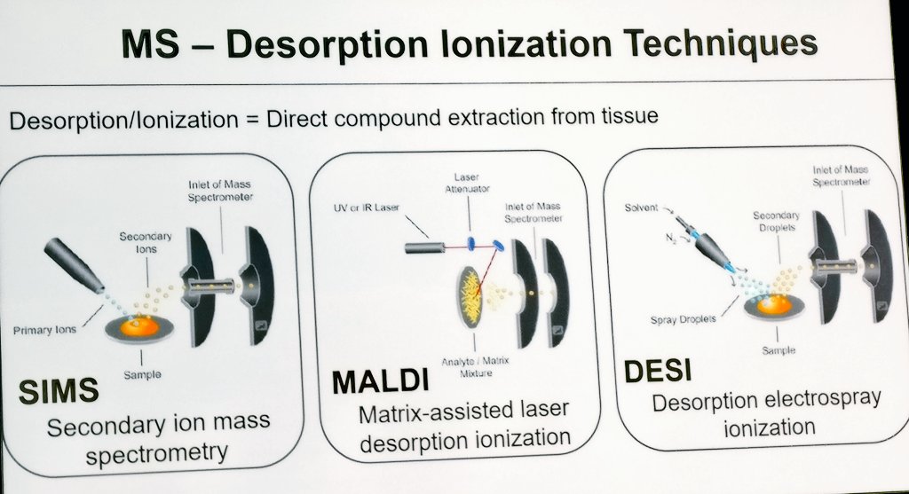 pathologistmag's tweet image. Zoltan Takats reminds us once more of the basics of mass spectrometry before discussing its use in profiling biological tissues. #PathUpdate