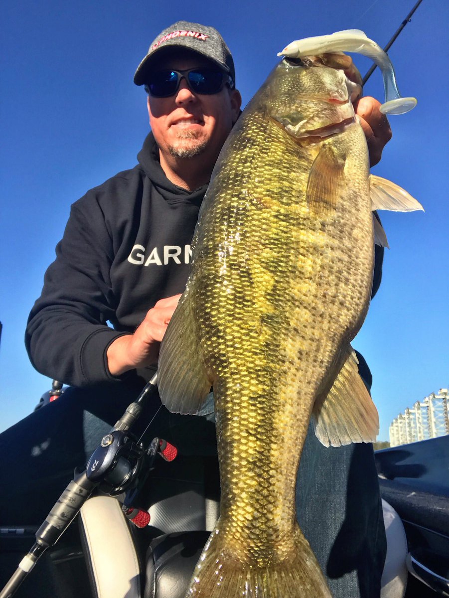 Russ Lane (@russlanefishing) on Twitter photo What’s the biggest fish you caught today? This 5lber smoked the BB Kicker swimbait! <a href="/BigBiteBaits/">Big Bite Baits</a> <a href="/garminfishhunt/">Garmin Fish & Hunt</a> <a href="/YamahaOutboards/">Yamaha Outboards</a> <a href="/Winn_Fishing/">WinnGripsFishing</a> What’s the biggest fish you caught today? This 5lber smoked the BB Kicker swimbait! <a href="/BigBiteBaits/">Big Bite Baits</a> <a href="/garminfishhunt/">Garmin Fish & Hunt</a> <a href="/YamahaOutboards/">Yamaha Outboards</a> <a href="/Winn_Fishing/">WinnGripsFishing</a>