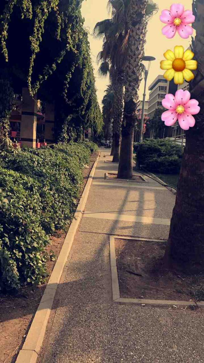 يوماً ما ستدرك أن أقسى ما مررت به كان خيراً عظيماً أنقذك ليجعلك أقوى مما كنت عليه 😊💗