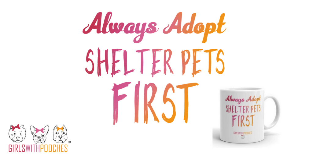 girlspooches's tweet photo. Deciding to bring a dog into your home is an exciting time. We advocate for always adopt and this story will inspire you to visit your local shelter and find a new friend. https://t.co/AOcD48oT62 #alwaysadopt #girlswithpooches #dogsarelove #saveadog #shelterpetsfirst https://t.co/lITy9zYyXm
