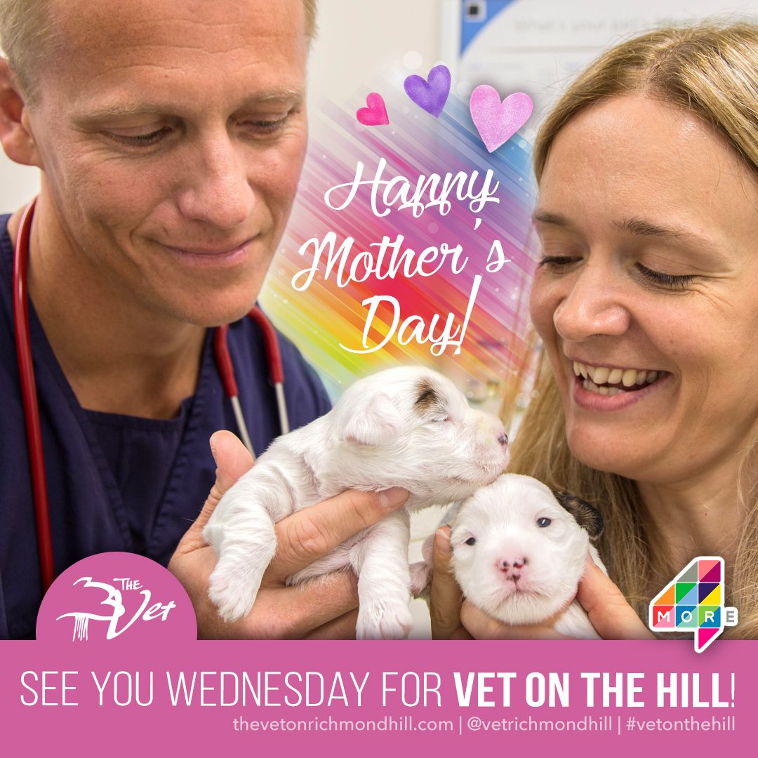 VetOnTheHillHQ's tweet photo. Happy #MothersDay all you fantastic mums! ❤️ from @drscotty &amp; the #vetonthehill team! 

Have a fantastic day, hope you're being spoiled 💐💐💐 https://t.co/Yy4Avx6RpF