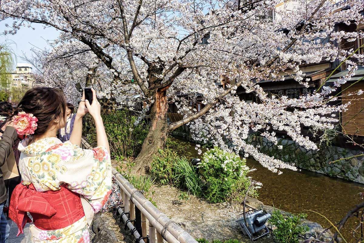 2 Aussie Travellers tweet media