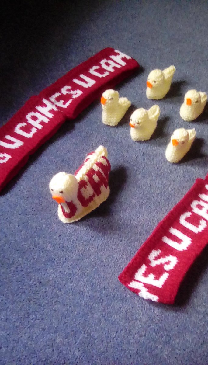 Maths4ukplc's tweet photo. A perfect number of #YesUCan ducks have arrived for #MotheringSunday @EmmaGardner25 @glenfalltoucan @Bobby_Seagull https://t.co/XJJjwMKtke