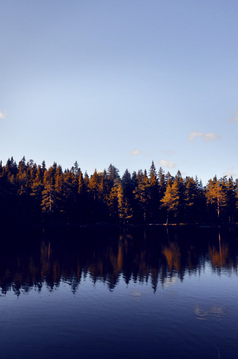 coldteacup's tweet photo. •Dalarna• https://t.co/bxSjfdbJEx https://t.co/Py5SvxkNcP