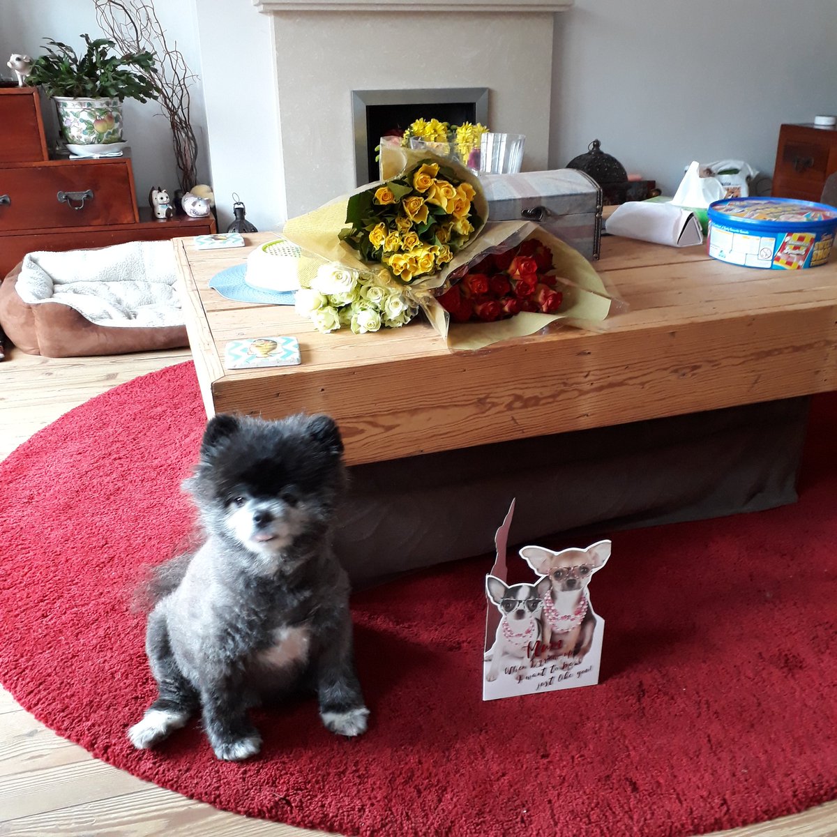 TraceyStuart19's tweet photo. @SundayBrunchC4  this is what my baby got me for mothers day. https://t.co/qtdFMw97Kq