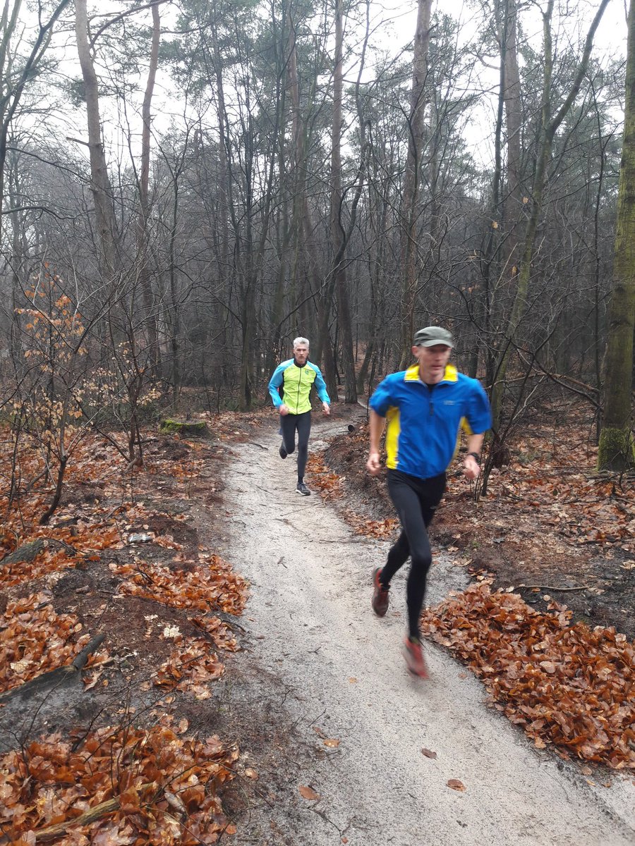TeVeldeResearch's tweet photo. Samen met Klaasjan een heerlijke bostraining met veel intervalletjes gegeven voor @LoopgroepBunnik in Austerlitz. https://t.co/Thq3JuFKDZ