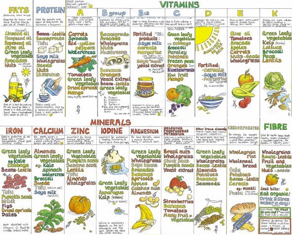 Great chart from <a href="/lizcookcharts/">Liz Cook Charts</a> is in all our VIP festival goodie bags... we sell her other charts &amp; cook books every event #vegantalent