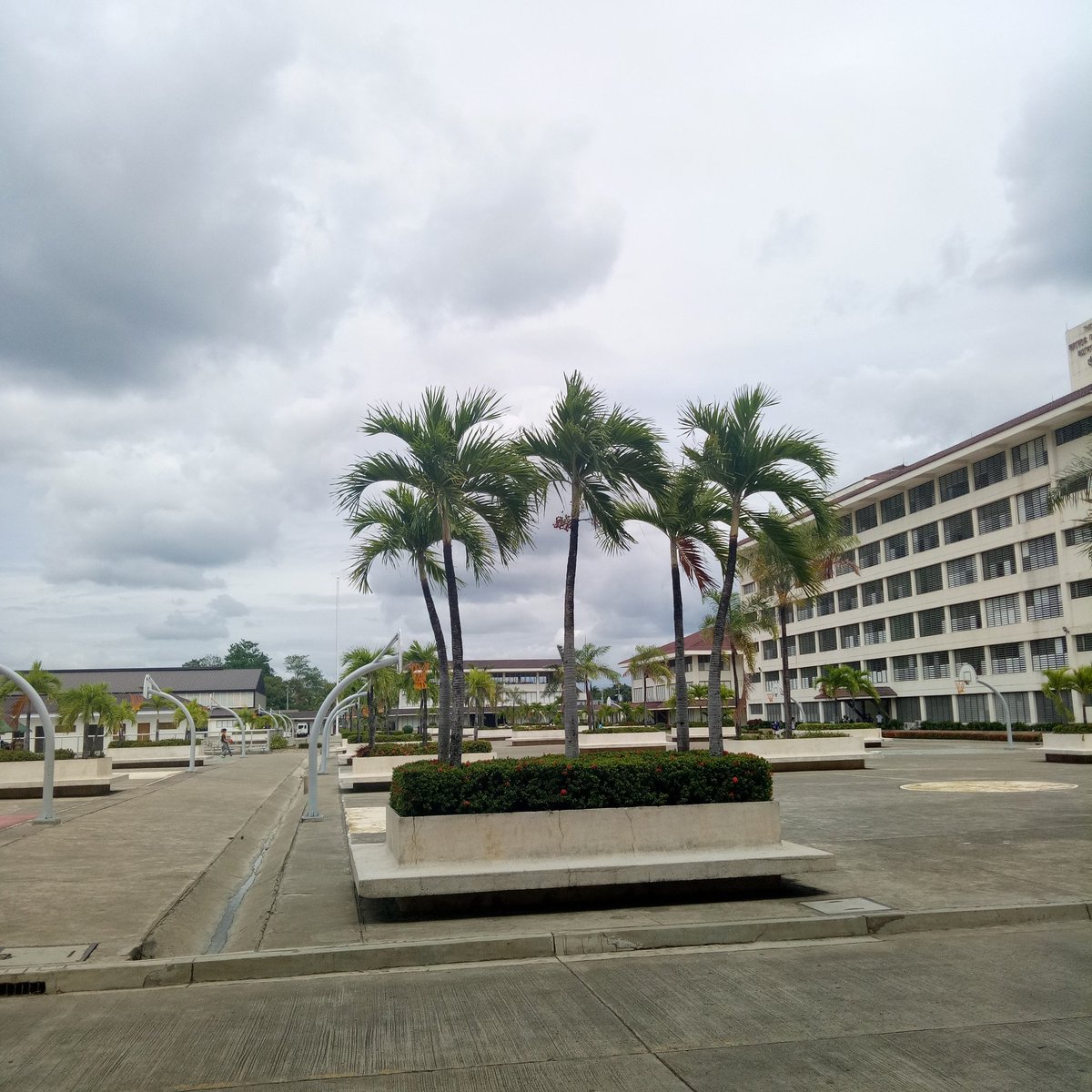 jimreydaps's tweet photo. Alumni Homecoming 2018 #17thBatch https://t.co/1IPftUdgjE