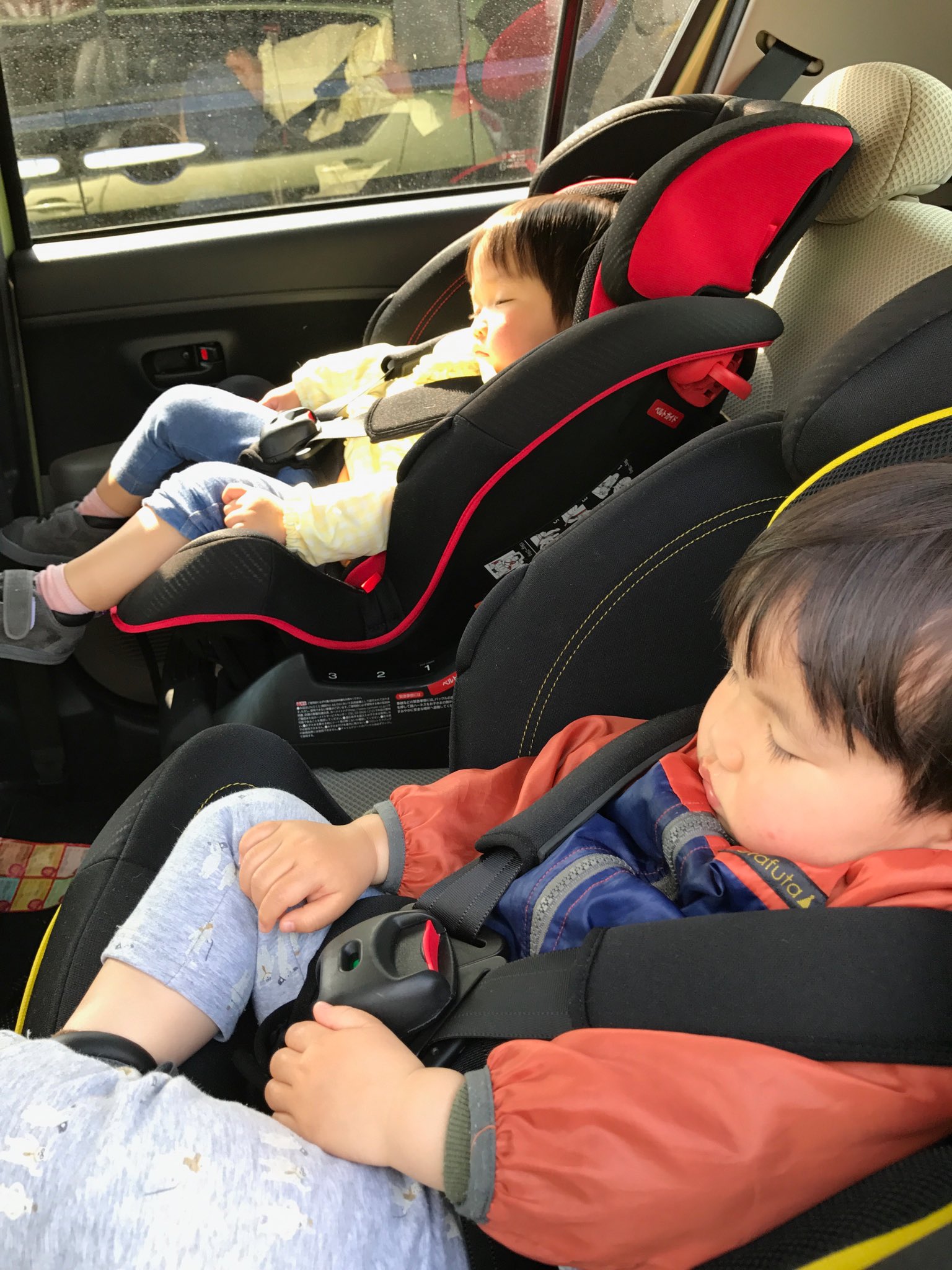 Werther Shinjiro999 Twitter