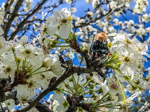 bellusphoto's tweet photo. Shoot day #girrafael #shoot #sanantonio #mcnay #springtime #photography #iphoneX #BellusPhoto.com #lego #legome https://t.co/4Bq4jojIo9 https://t.co/JI4cSRPx1B
