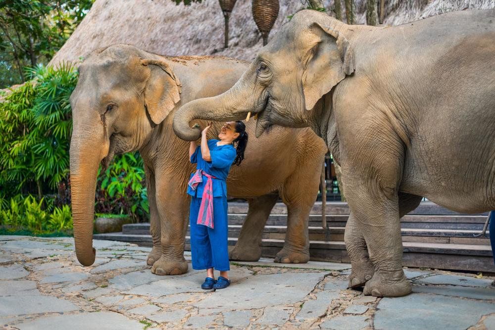 No Destinations tweet media