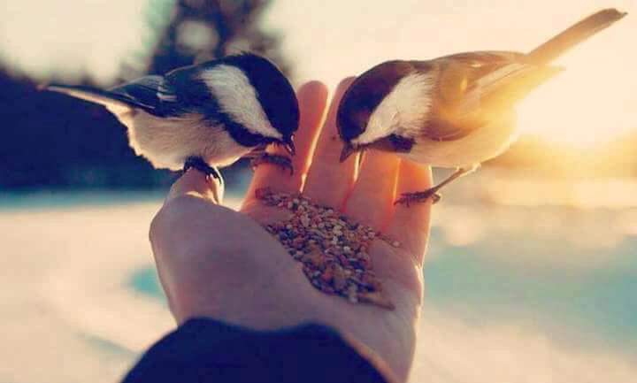 Hakk_Dosttu_7's tweet photo. ALLAH'ım İçimizi #Sevginle,
Dışımızı Şefkatinle,
Rızkımızı #Bereketinle, Ömrümüzü Merhametinle Dünyamızı Rahmetinle Ahiretimizi #Nurunla Doldur..
#Âmin.
Hayırlı Sabahlar ...Dostlarr https://t.co/wXMf7mmOAG