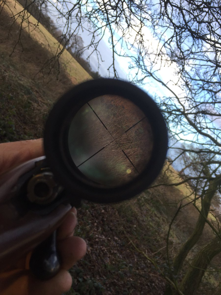 Nice afternoon out yesterday.