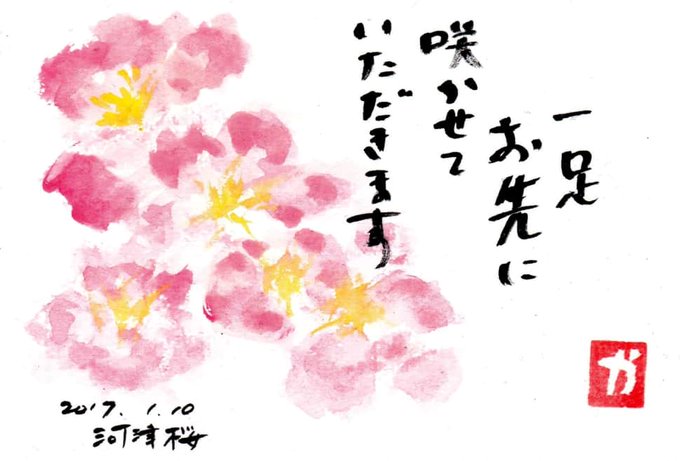 桜の絵のtwitterイラスト検索結果 古い順