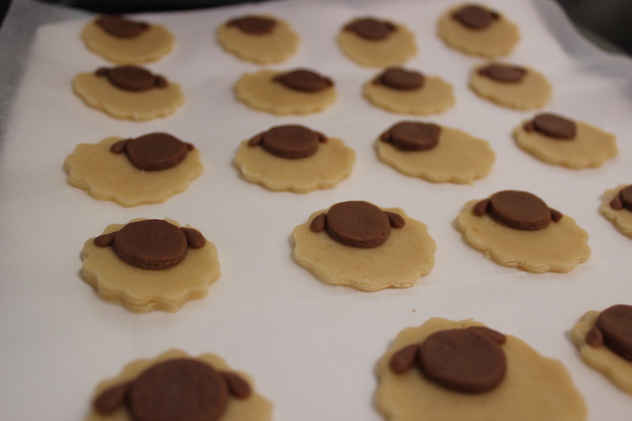 もち ひつじのショーンクッキー Canoneoskissx4 Ver 何回みてもかわいい