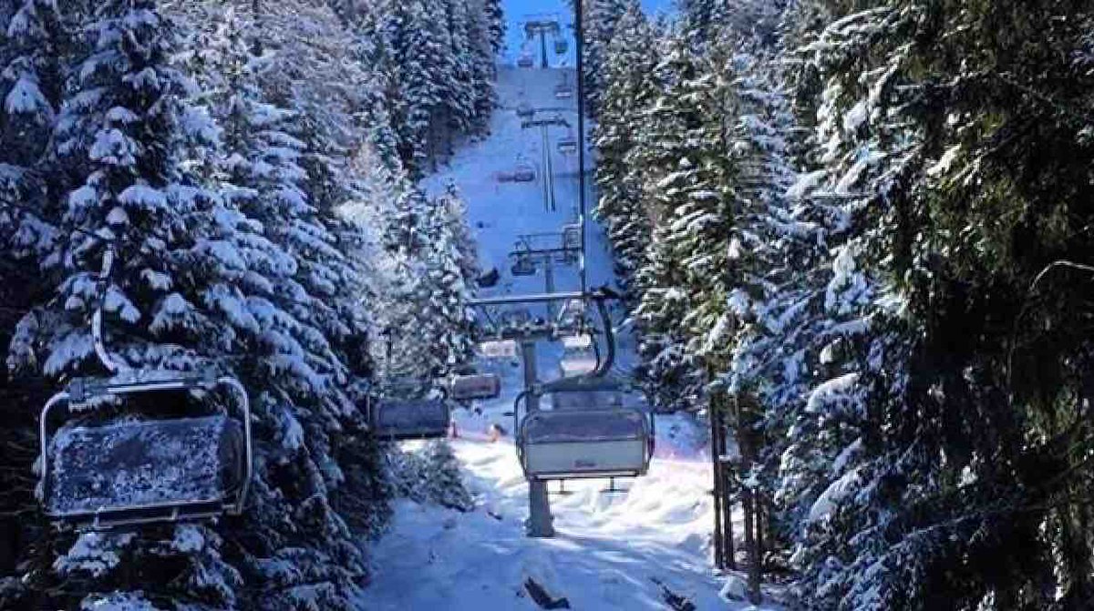 PassoTonale_ski's tweet photo. Stuck on where to go to get those ski legs back? Head to blue 34 for a long and wide cruise down the mountain....or for better visibility, blue 18 is just as long, and for intermediate skiers...can take you down into Ponte Di Legno for more tree lined runs⛷🏂 #reptoptip https://t.co/eCKLYxQ1kE