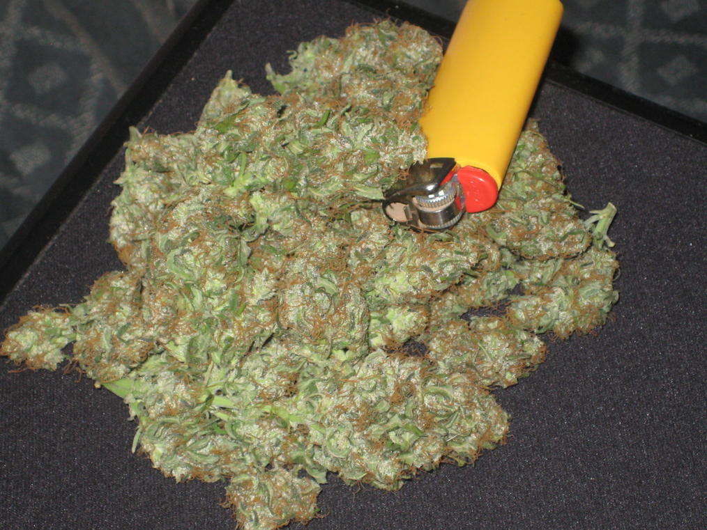OneFallenAngelM's tweet photo. Good morning all ☀️ Time to medicate some #RussianRocketFuel 🚀🎈 and then it's "repotting my bonsai" day 💚🌳 Have a geat sunday all and keep the fire burning 🔥🌬️🌬️🙌🏻 https://t.co/Emd6jNJrnF