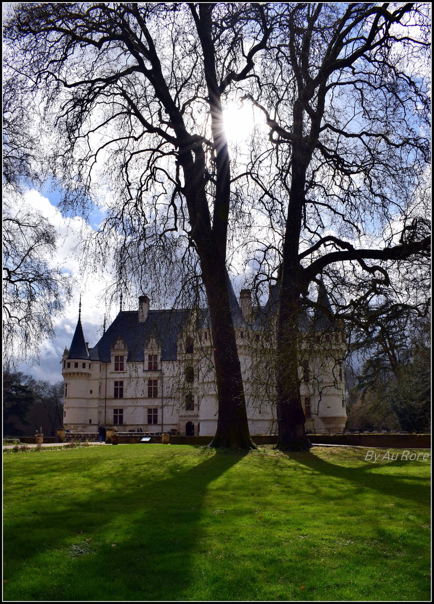 MyLoireValley's tweet photo. Le Château d'#AzayleRideau par Au Rore - #ValdeLoire #Touraine #AzayRenaissance #LeCMN @leCMN https://t.co/V0f7SxE1p1
