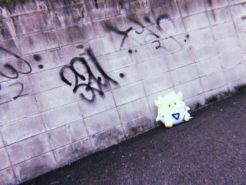 画像 / Picture