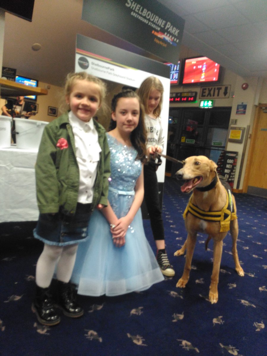 Shelbourne Park Greyhound Stadium tweet media