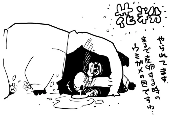 たまズーの美人タヌキにはいちどご挨拶に行かねばだわー
だけど… 