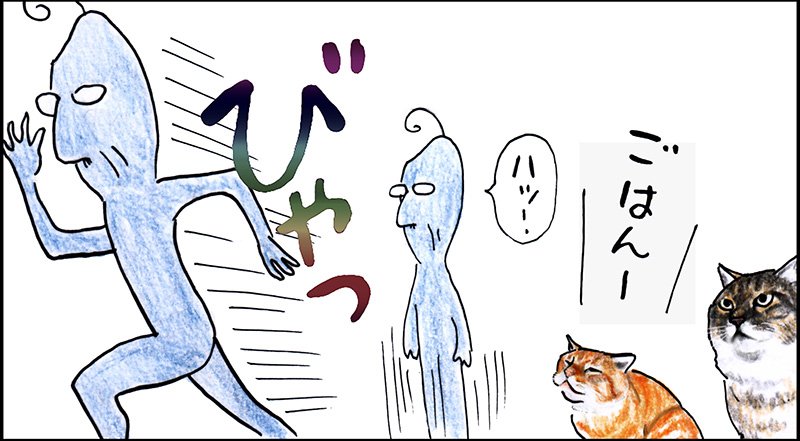 や、どうも。ヒルちゃんどこにいるのかな。 