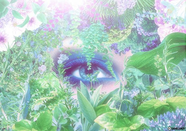 Reposting @davidzuker_art: - via @Crowdfire  FLOWERADE Part 2. Check the full project at: https://t.co/z3MdbvPKvo  #art<a class="tags" target="_blank" title="On Twitter" href="/?out=eyJ0eXAiOiJKV1QiLCJhbGciOiJIUzUxMiJ9.eyJpYXQiOjE3MjU0MDMyNTIsImlzcyI6InR3cG9ybnN0YXJzLmNvbSIsIm5iZiI6MTcyNTQwMzI1MiwiZXhwIjoxNzU2OTM5MjUyLCJyZWRpcmVjdF91cmwiOiJodHRwczovL3R3aXR0ZXIuY29tL2RhdmlkenVrZXJfYXJ0In0.A5sQ-WuOgUBquc8KbT6IA8MDF8l6dkhPYMFNfday6rr-oQRyFIsCOx1B1MFdOtB7s0Z9LqApHqp1DbZ6tJ51hw">@davidzuker_art</a><a class="tags" target="_blank" title="On Twitter" href="/?out=eyJ0eXAiOiJKV1QiLCJhbGciOiJIUzUxMiJ9.eyJpYXQiOjE3MjU0MDMyNTIsImlzcyI6InR3cG9ybnN0YXJzLmNvbSIsIm5iZiI6MTcyNTQwMzI1MiwiZXhwIjoxNzU2OTM5MjUyLCJyZWRpcmVjdF91cmwiOiJodHRwczovL3R3aXR0ZXIuY29tL0Nyb3dkZmlyZSJ9.HU256CYy__iUdb9cod1PxAvKL3GcS-Qi0Niha_1pYCZLwIfmc6cQ6N3Lu0LPfcWoC9gsQ0cnvA8z-s2sz5_UfA">@Crowdfire</a><a href="/tag/nature"class="tags"><span>#nature</span></a><a href="/tag/follow"class="tags"><span>#follow</span></a><a href="/tag/art"class="tags"><span>#art</span></a><a href="/tag/flowers"class="tags"><span>#flowers</span></a><a href="/tag/women"class="tags"><span>#women</span></a><a href="/tag/artgallery"class="tags"><span>#artgallery</span></a>