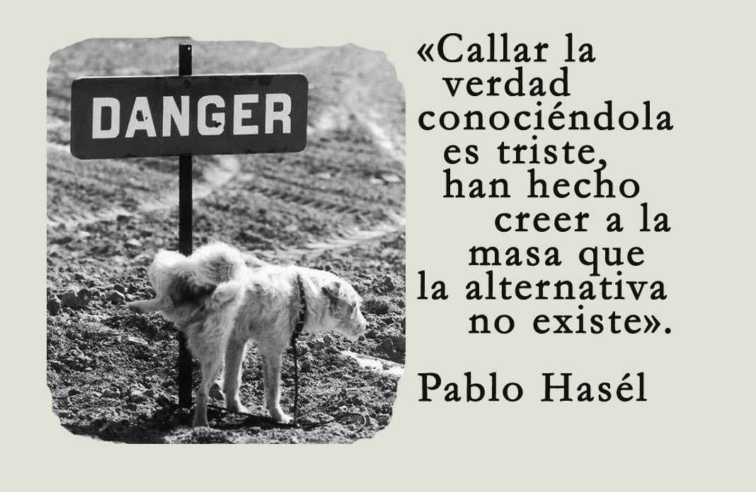 rafajt1's tweet photo. Buenos días a todas, en especial a las que no os calláis. https://t.co/5IvBRUFTR1