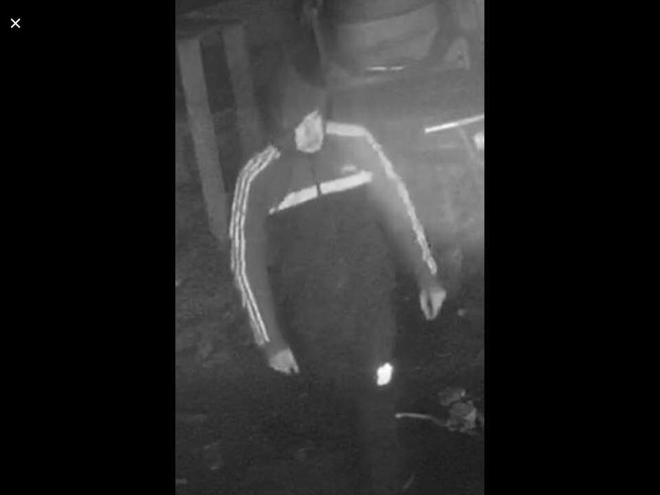 Rosie Doc tweet media