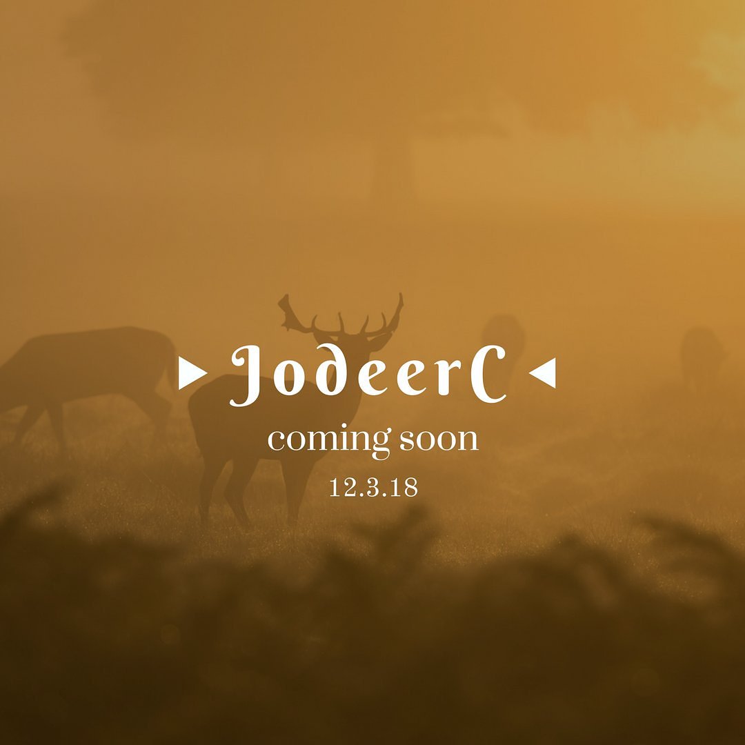 JodeerCalussi's tweet photo. @JodieCalussi #jodeerC https://t.co/zVYN2xPNfc