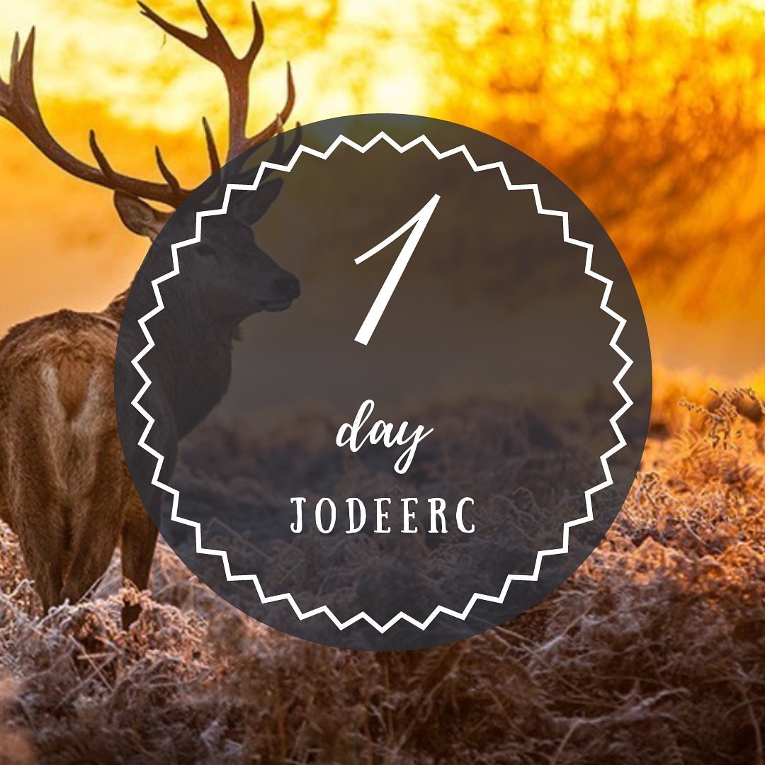 JodeerCalussi's tweet photo. @JodieCalussi #jodeerC https://t.co/G4jgiizxTe