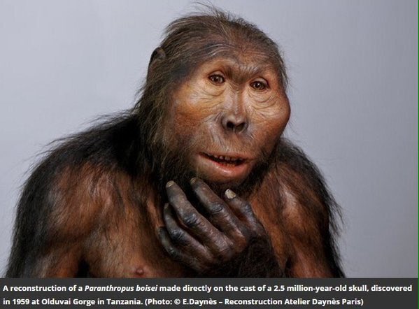 Alex Taylor tweet media