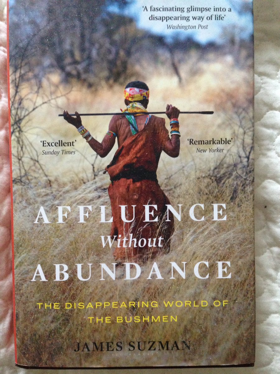 Alex Taylor tweet media